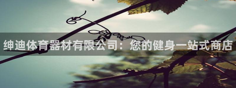 星欧娱乐最建议买的三个产品：绅迪体育器材有限公司：您