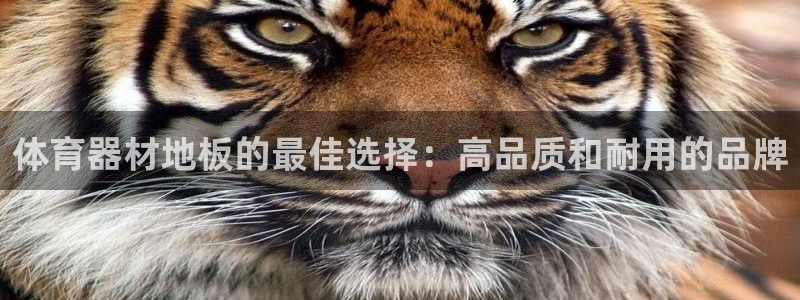 星欧娱乐公司地址：体育器材地板的最佳选择：高品质和耐