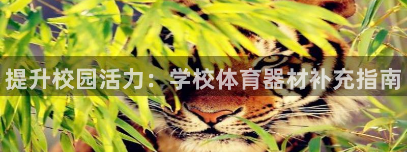 星欧娱乐信存手机版下载：提升校园活力：学校体育器材补