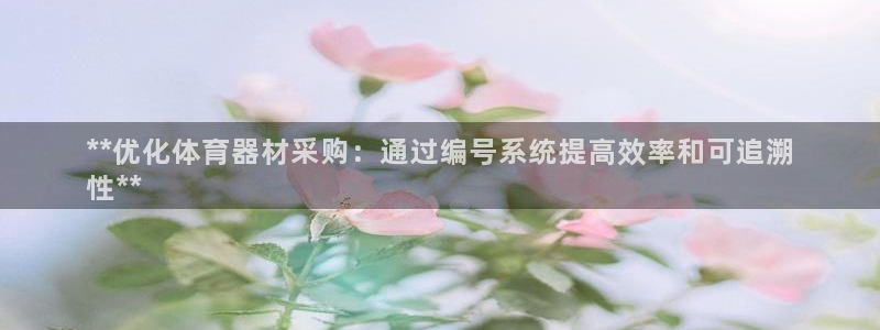 星欧娱乐平台怎么样啊可靠吗：**优化体育器材采购：通