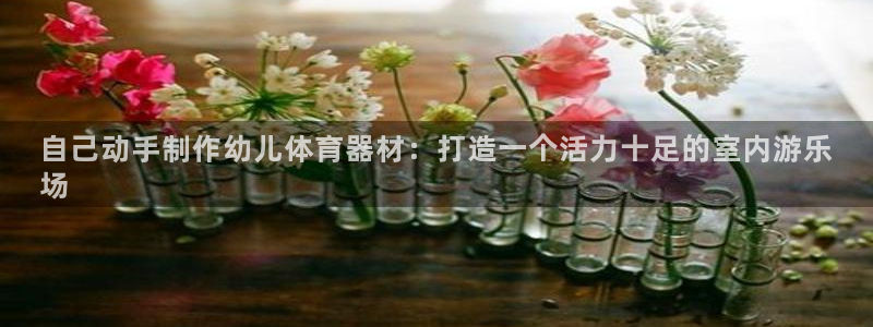 星欧娱乐属于什么档次的软件啊：自己动手制作幼儿体育器