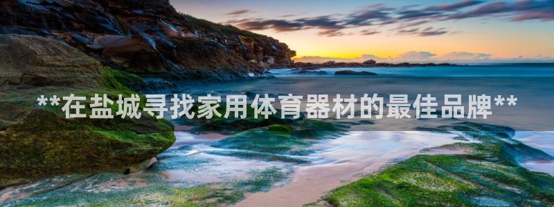 星欧娱乐挂机赚钱软件：**在盐城寻找家用体育器材的最