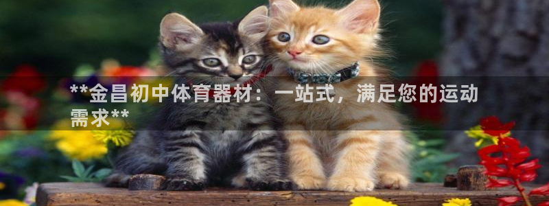星欧娱乐退款流程详解：**金昌初中体育器材：一站式，