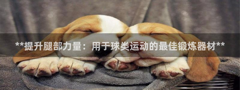 星欧娱乐属于什么档次的网站：**提升腿部力量：用于球
