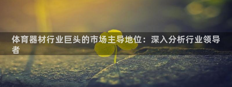 星欧娱乐扣款流程详解图：体育器材行业巨头的市场主导地