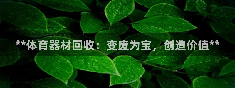星奥娱乐集团股份有限公司招聘：**体育器材回收：变废