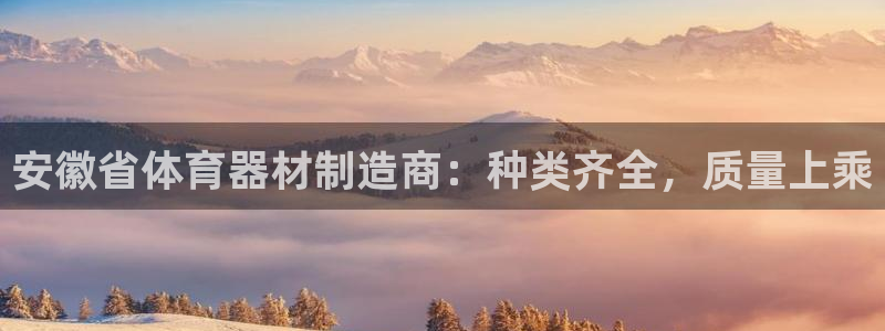 江苏星奥娱乐：安徽省体育器材制造商：种类齐全，质量上