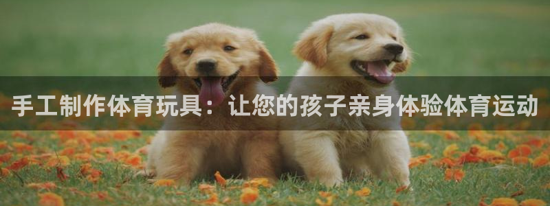 星欧娱乐app最新版本更新内容是什么：手工制作体育玩