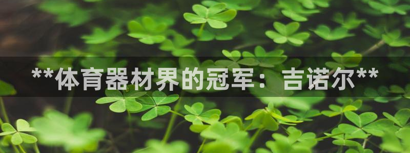 星欧娱乐扣款时间查询方法怎么查的：**体育器材界的冠