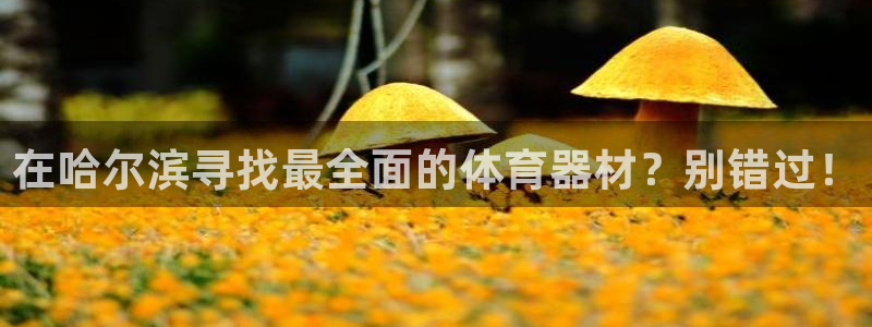 星欧娱乐是正规平台吗：在哈尔滨寻找最全面的体育器材？