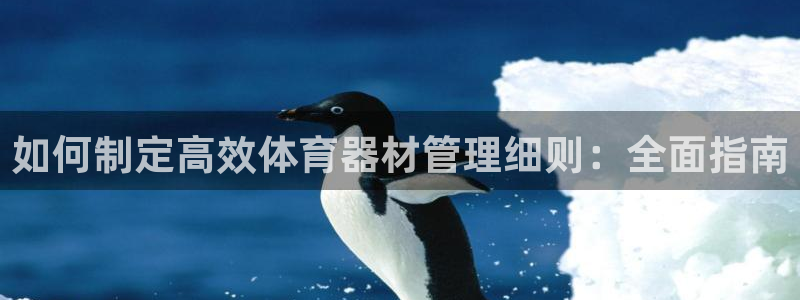 星奥盛典娱乐会所：如何制定高效体育器材管理细则：全面