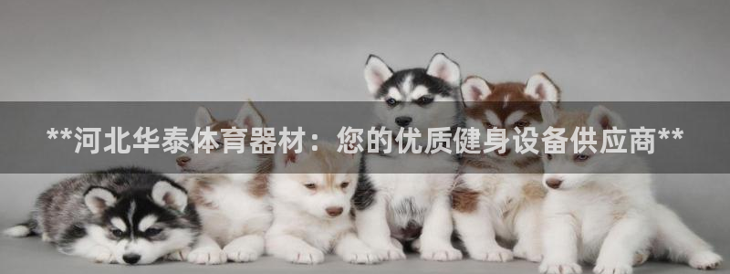 星欧娱乐扣款：**河北华泰体育器材：您的优质健身设备