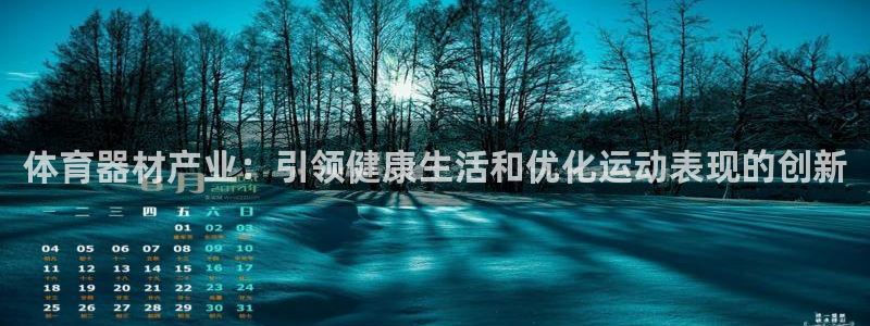 星欧娱乐最建议买的三个游戏账号：体育器材产业：引领健