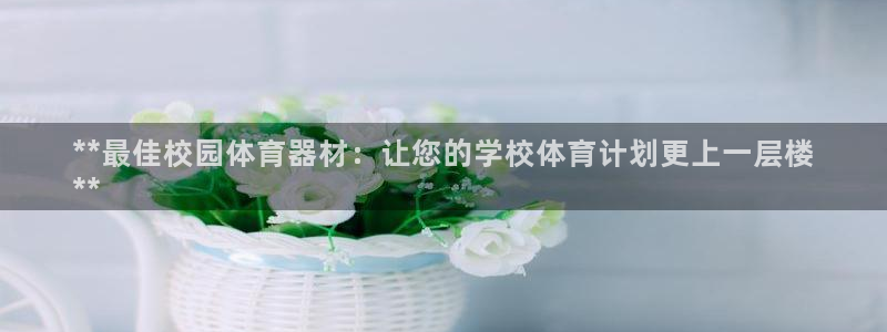 星奥盛典娱乐会所：**最佳校园体育器材：让您的学校体