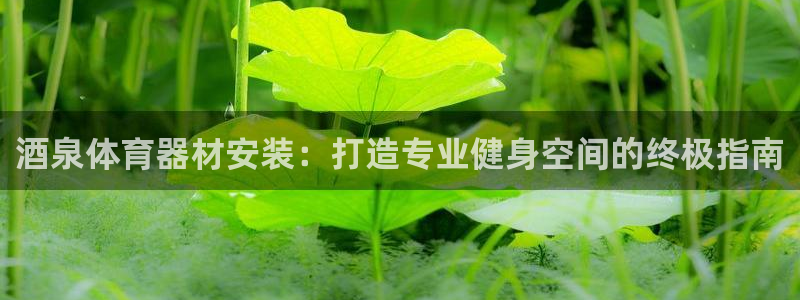 星欧娱乐工711.112扣费通知：酒泉体育器材安装：