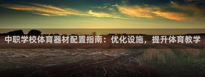 星欧娱乐最建议买的三个产品有哪些内容：中职学校体育器