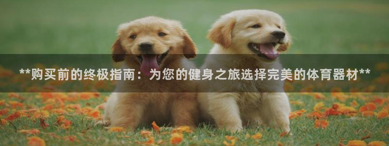 星欧娱乐扣款时间查询方法怎么查：**购买前的终极指南