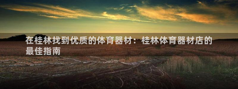 星欧娱乐最建议买的三个产品有哪些：在桂林找到优质的体