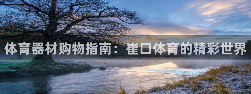 星欧娱乐巴711.112扣费记录查询方法：体育器材购