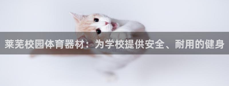 星欧娱乐平台怎么样可靠吗：莱芜校园体育器材：为学校提