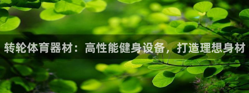 星欧娱乐扣款时间查询方法怎么查不到：转轮体育器材：高