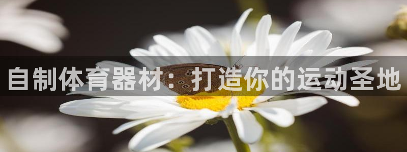 星欧娱乐联售后服务评价：自制体育器材：打造你的运动圣