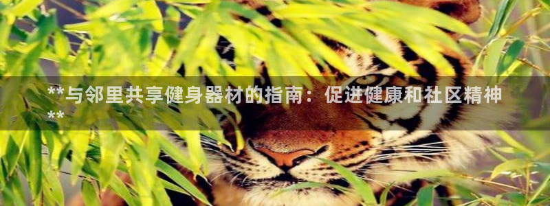 星欧娱乐测速怎么样：**与邻里共享健身器材的指南：促