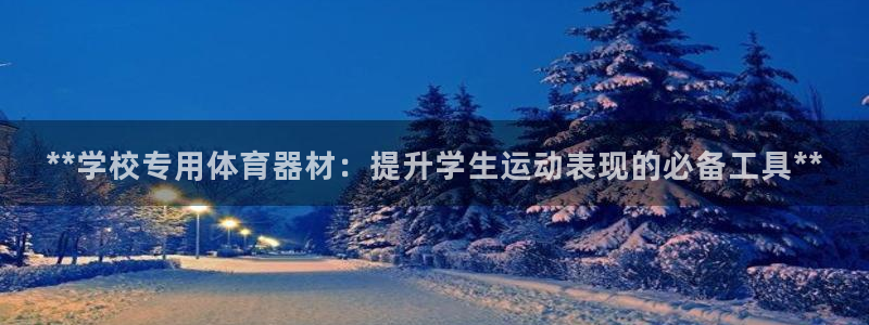 星欧娱乐扣款流程详解图高清：**学校专用体育器材：提