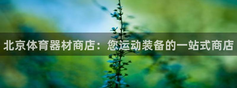 星欧娱乐：北京体育器材商店：您运动装备的一站式商店