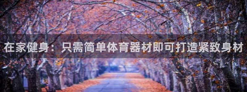 星游娱乐下载地址：在家健身：只需简单体育器材即可打造