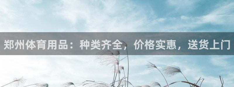 星欧娱乐最建议买的三个产品是什么：郑州体育用品：种类