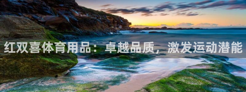 星欧娱乐信存手机版下载：红双喜体育用品：卓越品质，激