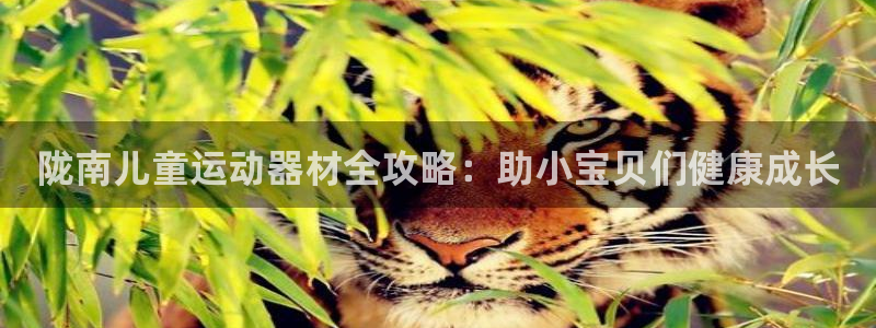 星欧娱乐平台怎么样啊可靠吗：陇南儿童运动器材全攻略：