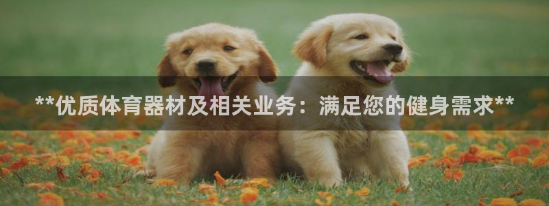 星欧娱乐游戏官网：**优质体育器材及相关业务：满足您