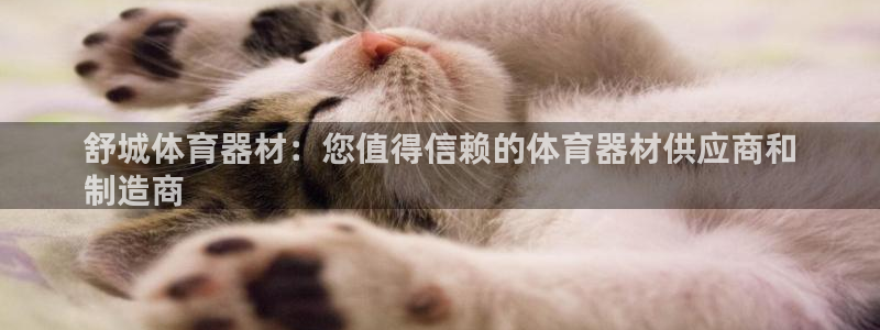 星欧娱乐是正规平台吗安全吗是真的吗：舒城体育器材：您