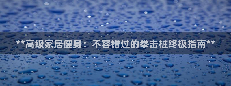 星澳娱乐公司：**高级家居健身：不容错过的拳击桩终极