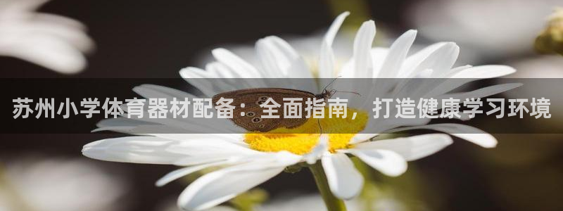 星欧娱乐最建议买的三个游戏：苏州小学体育器材配备：全