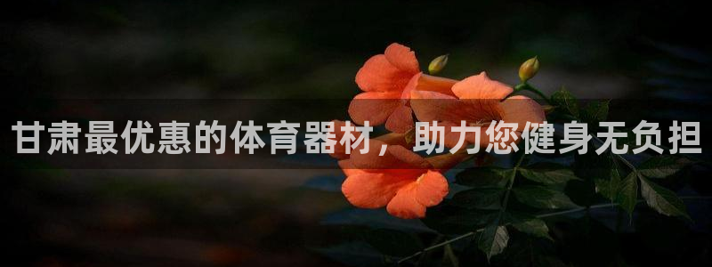 星欧娱乐公司创始人背景故事：甘肃最优惠的体育器材，助