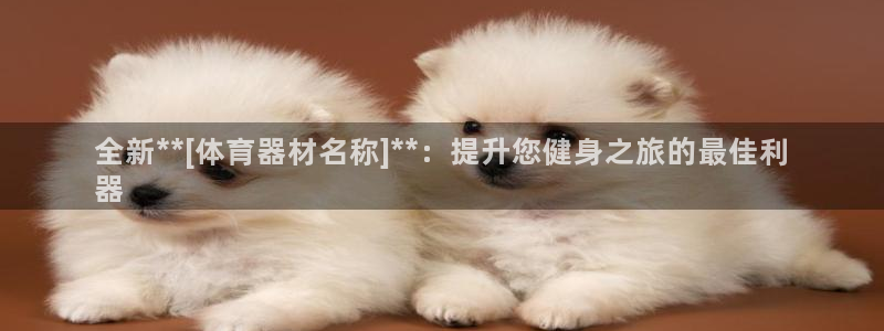 星欧娱乐平台都7O777：全新**[体育器材名称]*