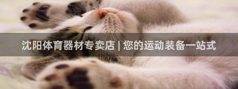 星欧娱乐下载最新版本更新内容：沈阳体育器材专卖店 |