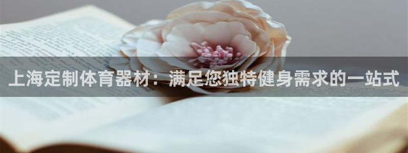 星欧娱乐属于什么档次的软件公司：上海定制体育器材：满