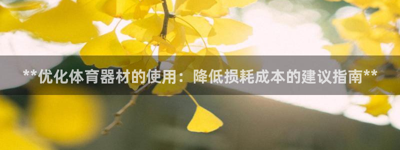 星欧娱乐属于什么档次的软件：**优化体育器材的使用：