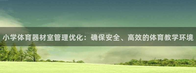星欧娱乐挂机赚钱：小学体育器材室管理优化：确保安全、