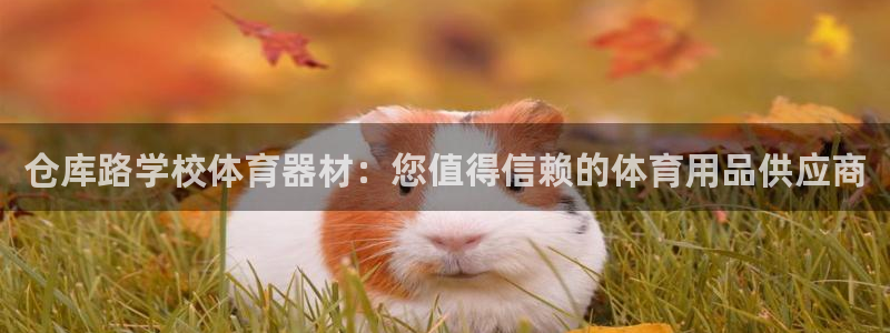 星欧娱乐方7O777：仓库路学校体育器材：您值得信赖