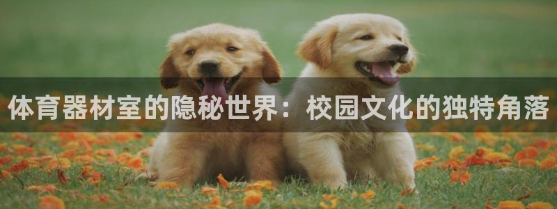 星欧娱乐官网首页入口：体育器材室的隐秘世界：校园文化