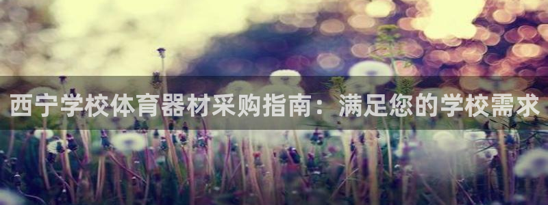 星欧娱乐属于什么档次的软件公司：西宁学校体育器材采购