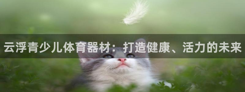 星欧娱乐是正规平台吗知乎：云浮青少儿体育器材：打造健