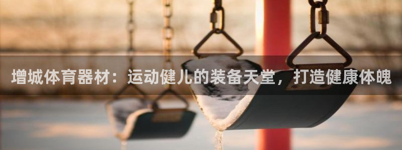 星欧娱乐官网下载安卓：增城体育器材：运动健儿的装备天