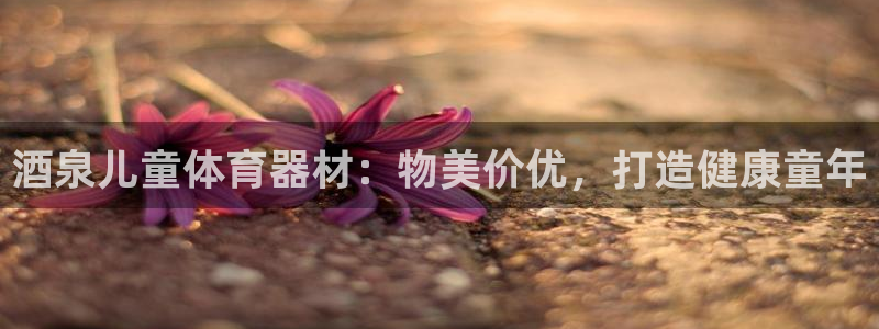 星奥娱乐集团股份有限公司怎么样：酒泉儿童体育器材：物