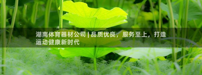 星澳娱乐公司简介：湖南体育器材公司 | 品质优良，服